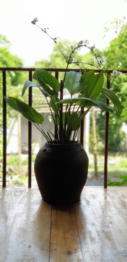 Tuyet'S Homestay Ninh Binh Exterior foto