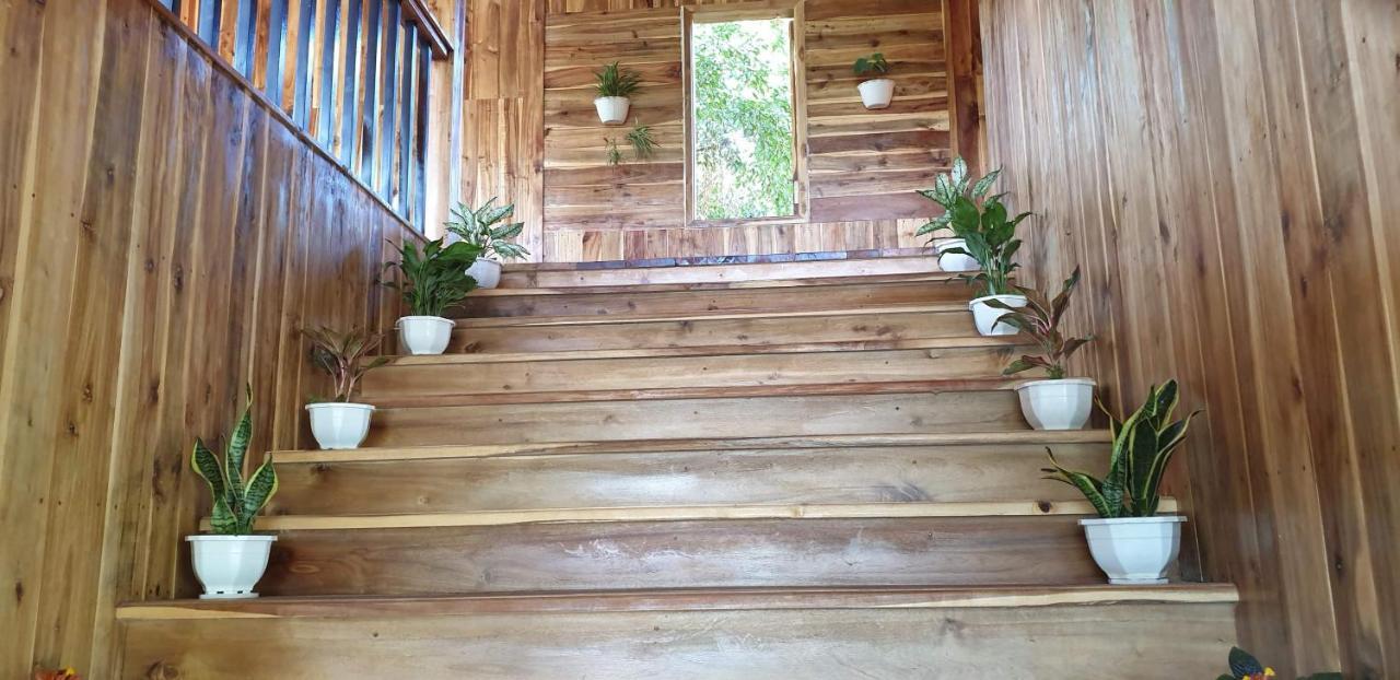 Tuyet'S Homestay Ninh Binh Exterior foto