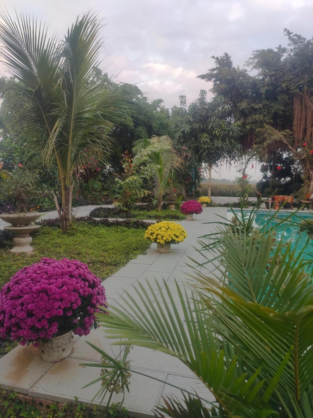Tuyet'S Homestay Ninh Binh Cameră foto